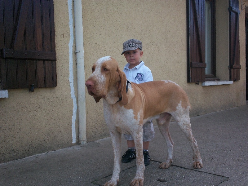 Ginozzo de la grève aux loups