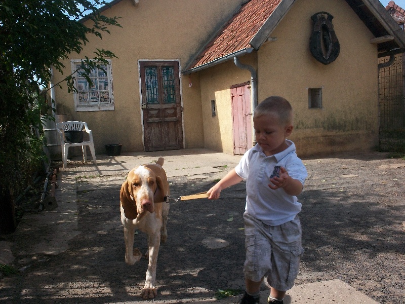 Ginozzo de la grève aux loups